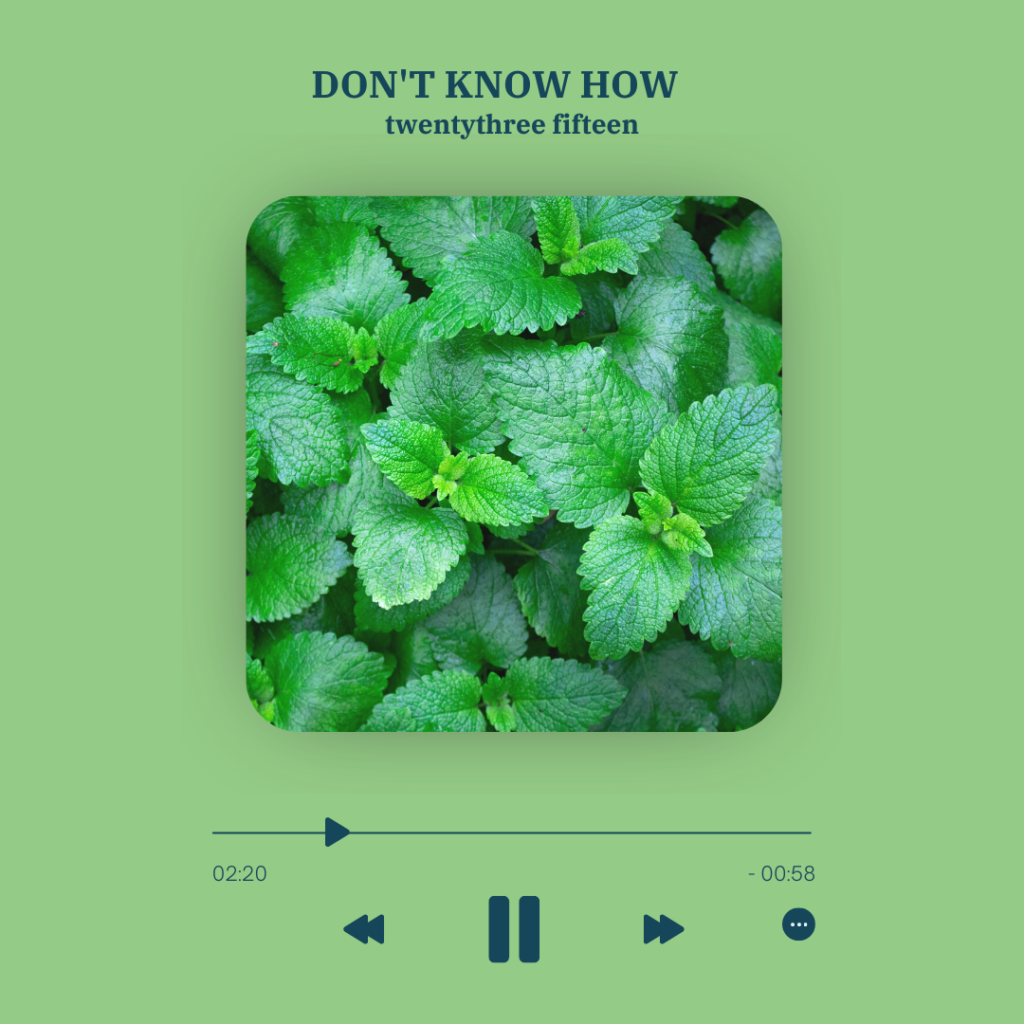 set up as a music player with song length, skip and stop signs under it is a picture of mint plants, everything is in hues of green, text above: "Don't Know How" and "twentythree fifteen"